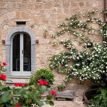 Acqua Di Civita Beauty & Rooms Bagnoregio Exterior photo